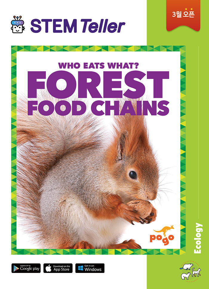 STEM Teller 3월 오픈